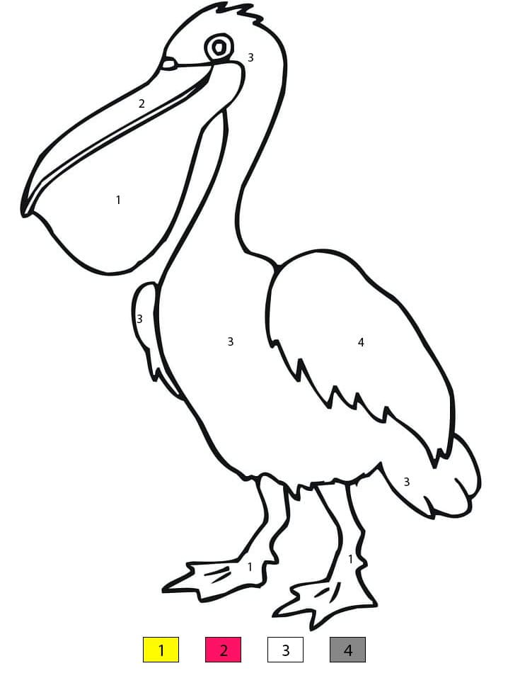 Pelican Free Printable Color By Number