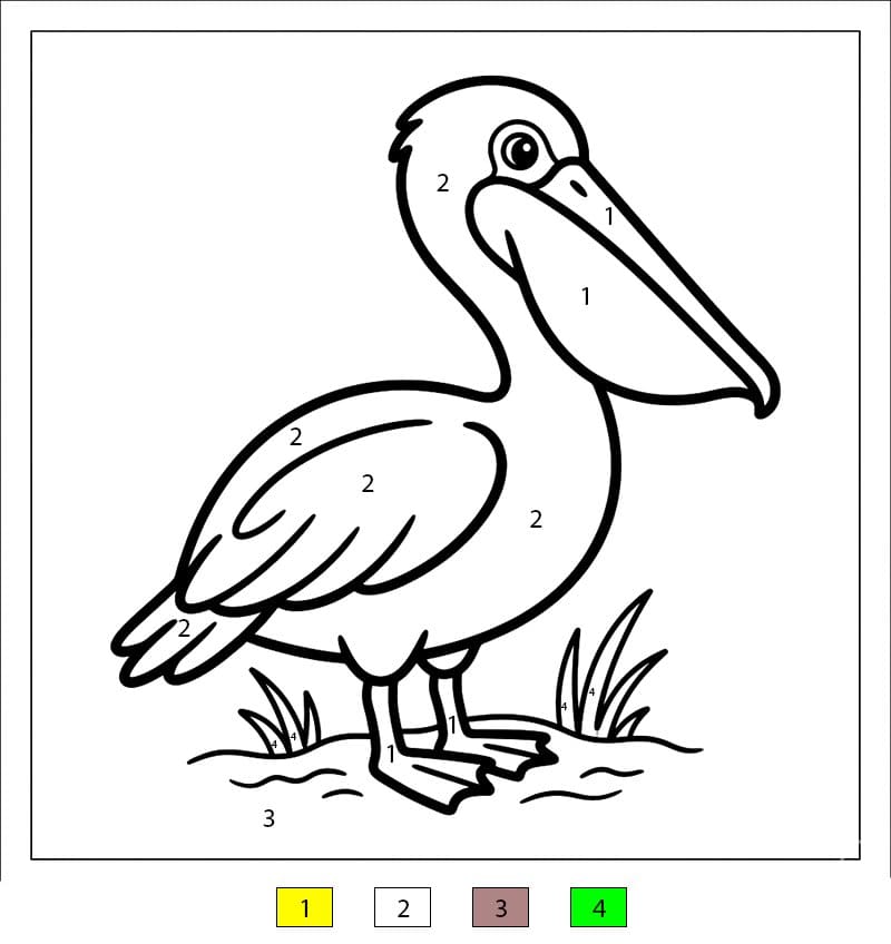 Pelican Nice Color By Number