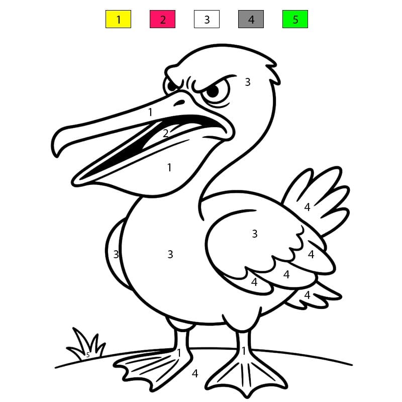 Pelican Normal Color By Number