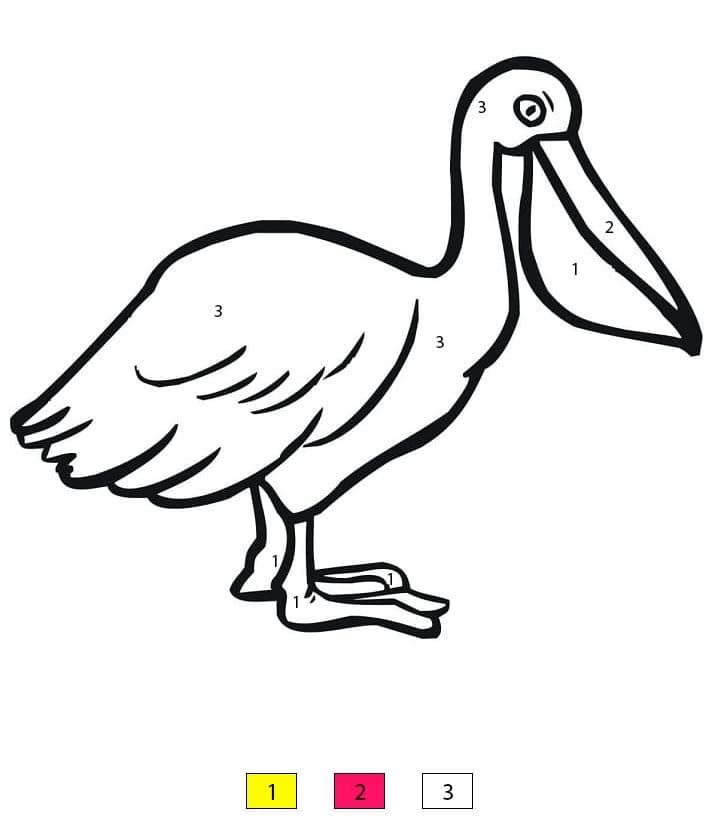 Pelican Printable Color By Number