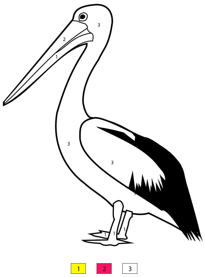 Pelican Printable For Kids Color By Number