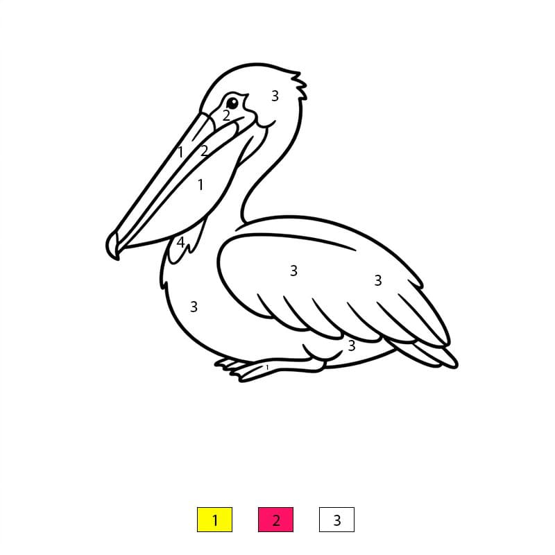 Pelican Sitting Color By Number