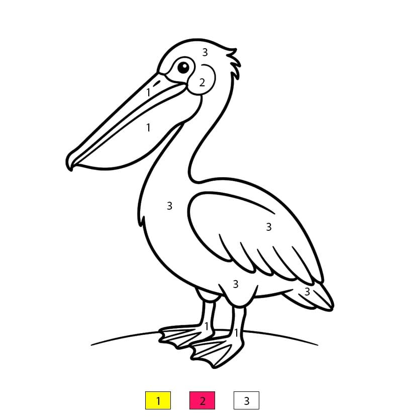 Pelican Standing Color By Number