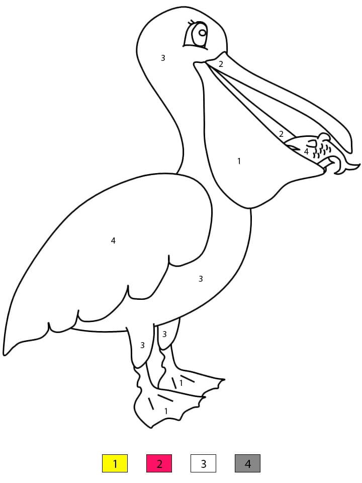 Pelican is Eating Fish Color By Number