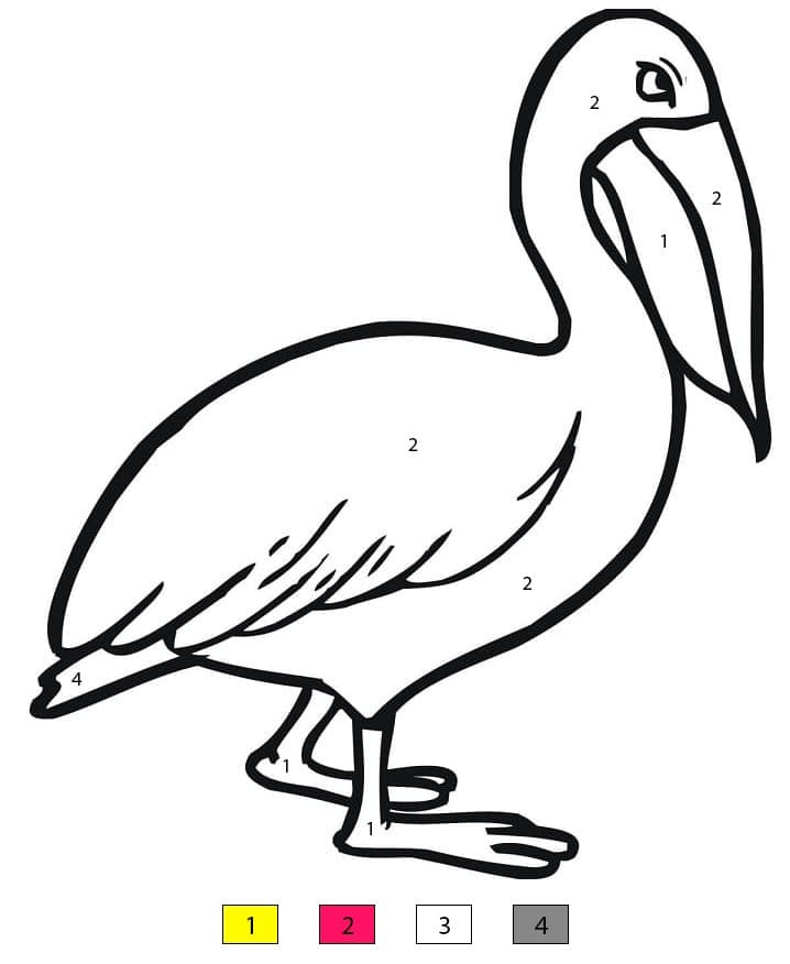 Pelican to Print Color By Number