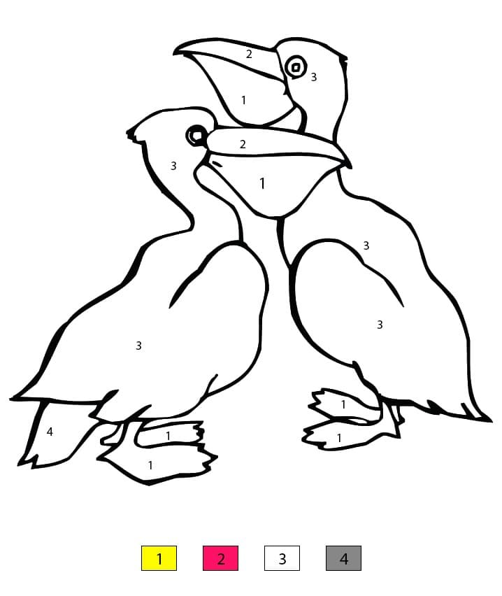 Pelicans Color By Number