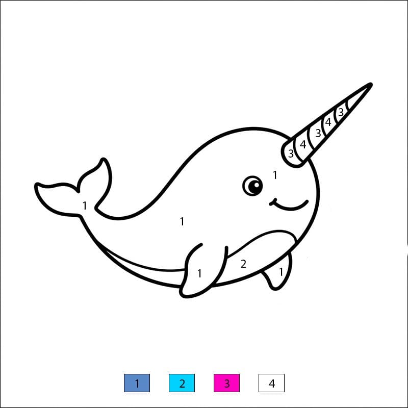 Print Narwhal Color By Number