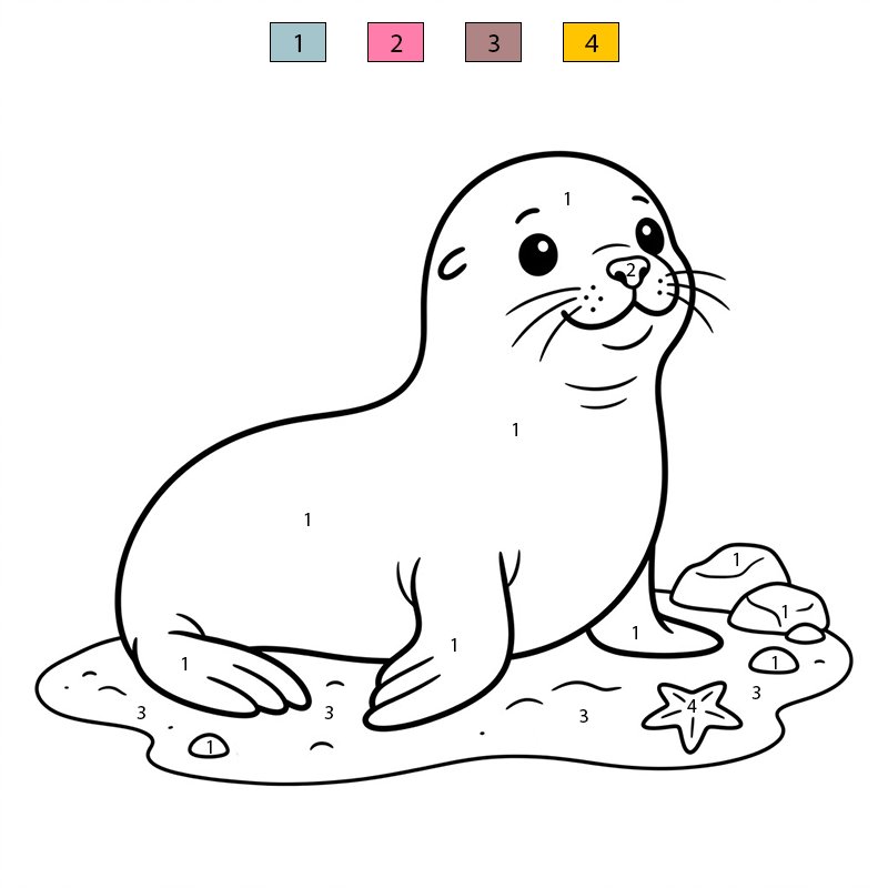 Sea Lion Cute Color By Number