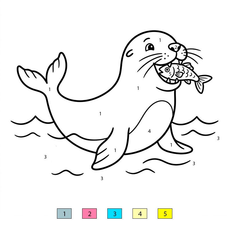 Sea Lion Eating Color By Number