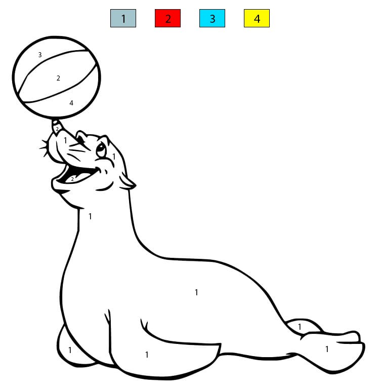 Sea Lion For Free Color By Number