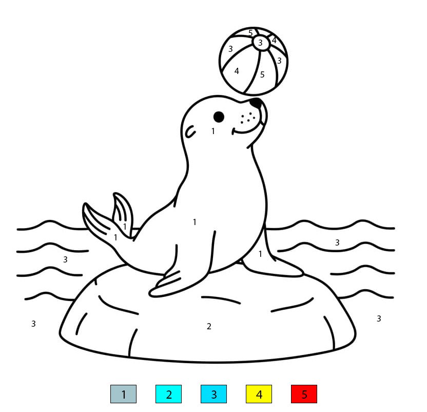 Sea Lion Pictures Color By Number