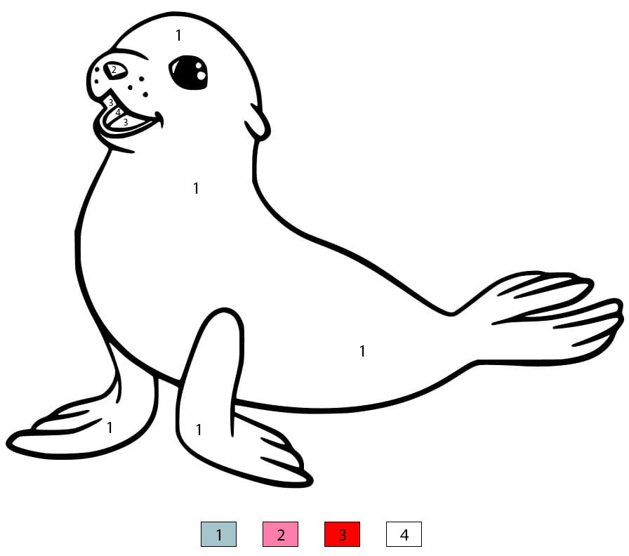 Sea Lion to Print Color By Number