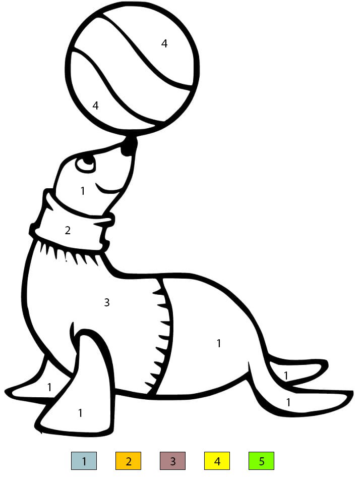 Sea Lion with A Ball Color By Number