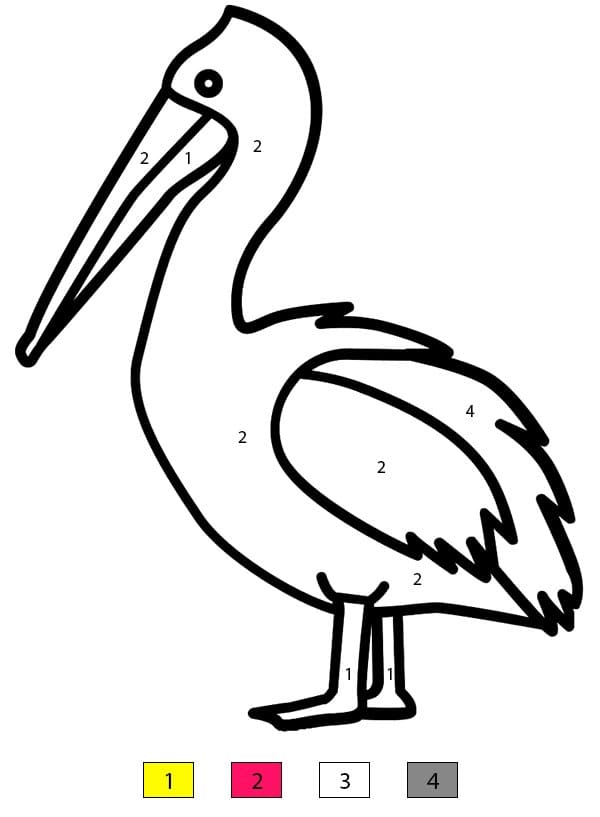 Simple Pelican Color By Number